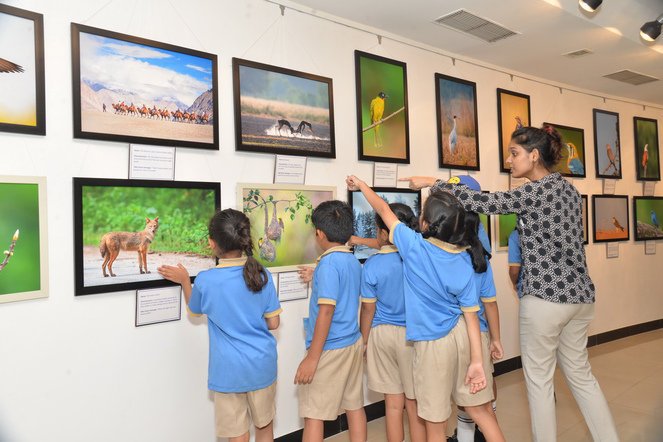 Jehangir Art Gallery - Image 9