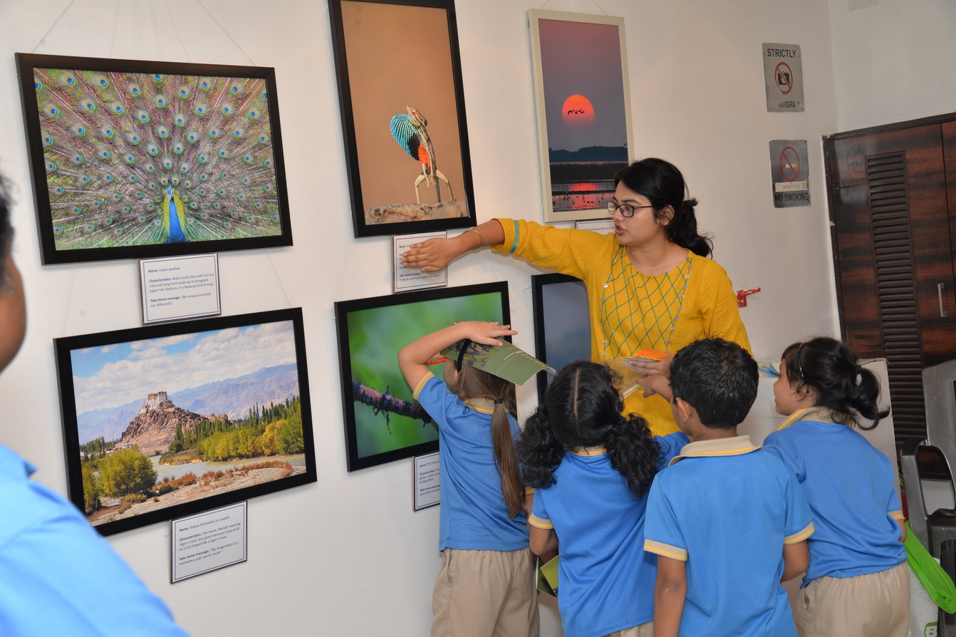 Jehangir Art Gallery - Image 13