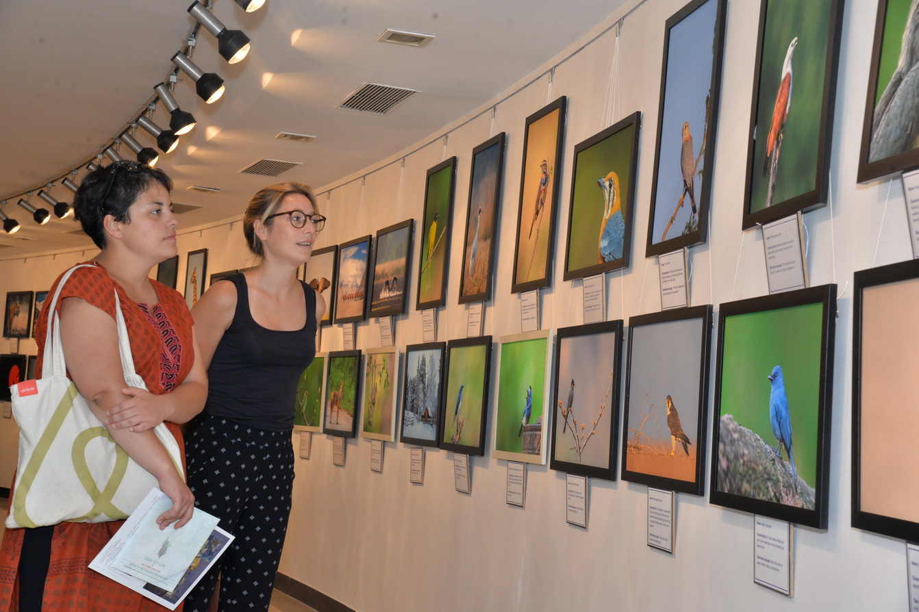 Jehangir Art Gallery - Image 4