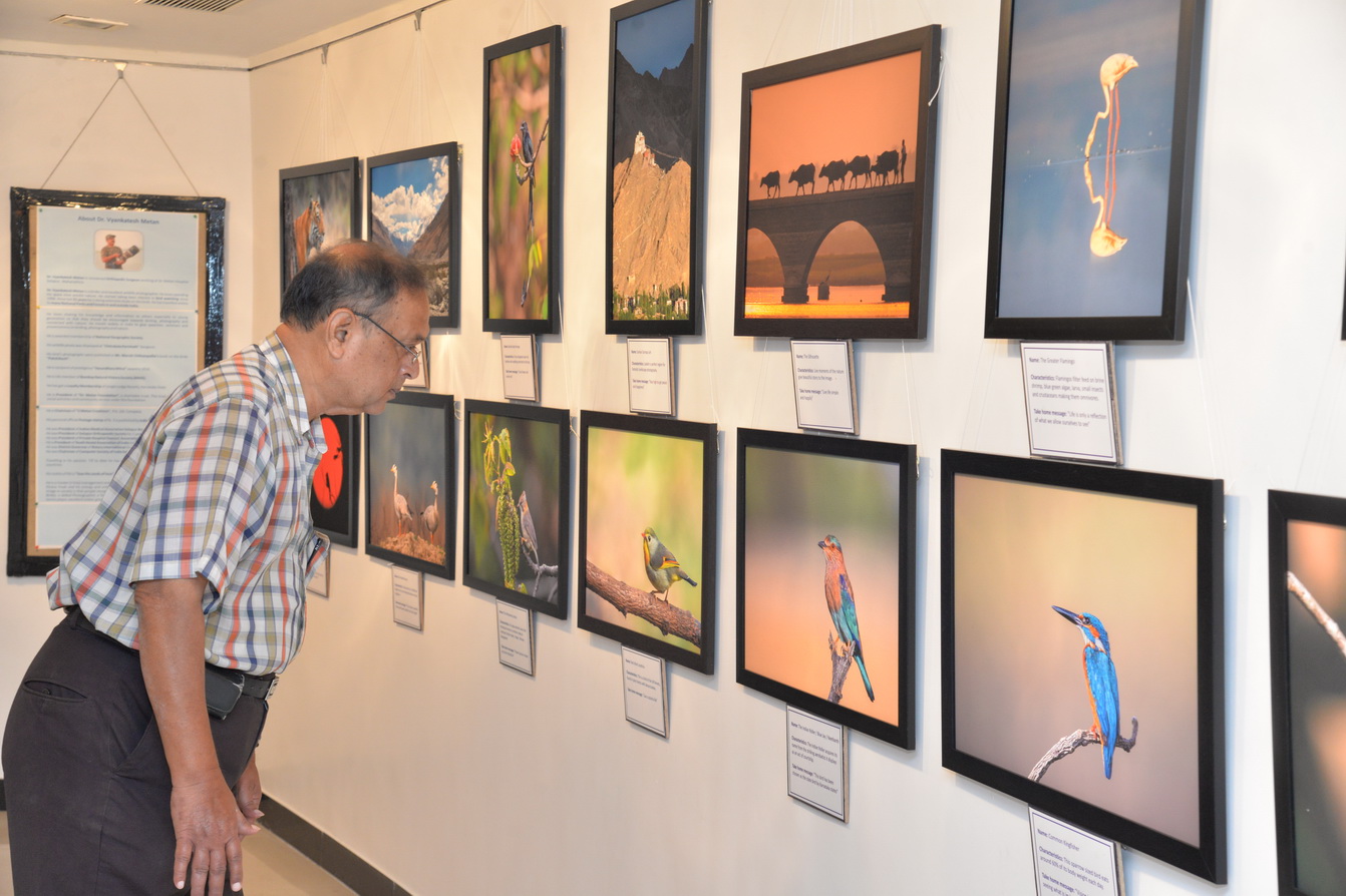 Jehangir Art Gallery - Image 11