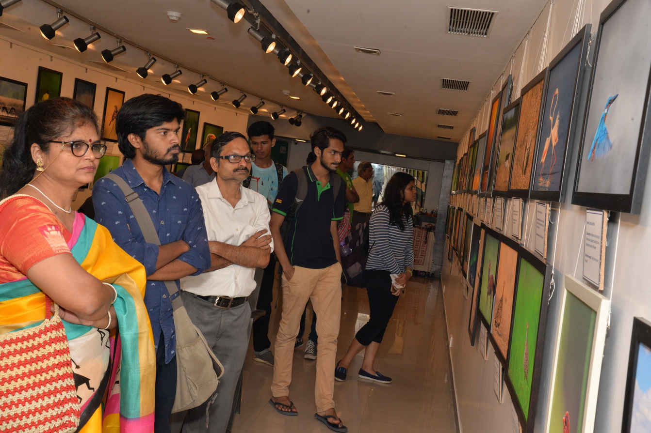 Jehangir Art Gallery - Image 10