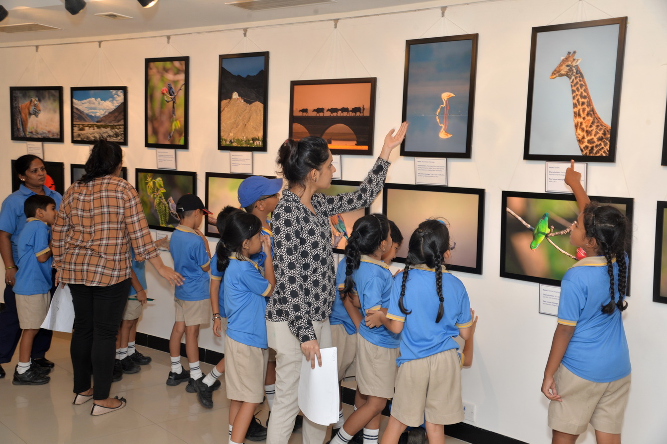 Jehangir Art Gallery - Image 25