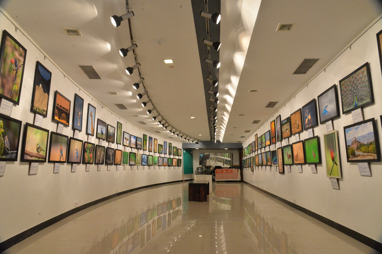 Jehangir Art Gallery - Image 6