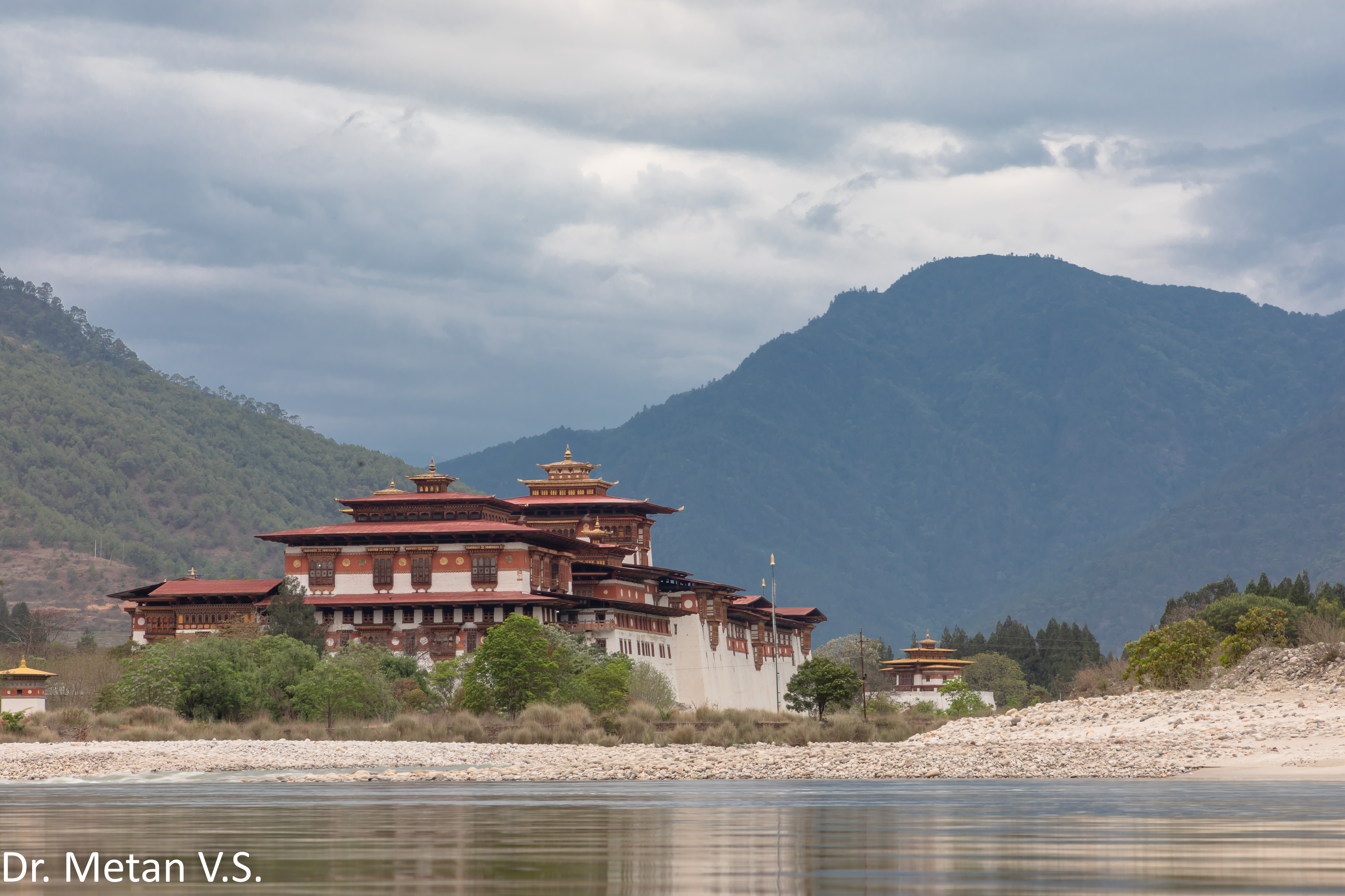 Dr Vyankatesh Metan Solapur Bird E1 2