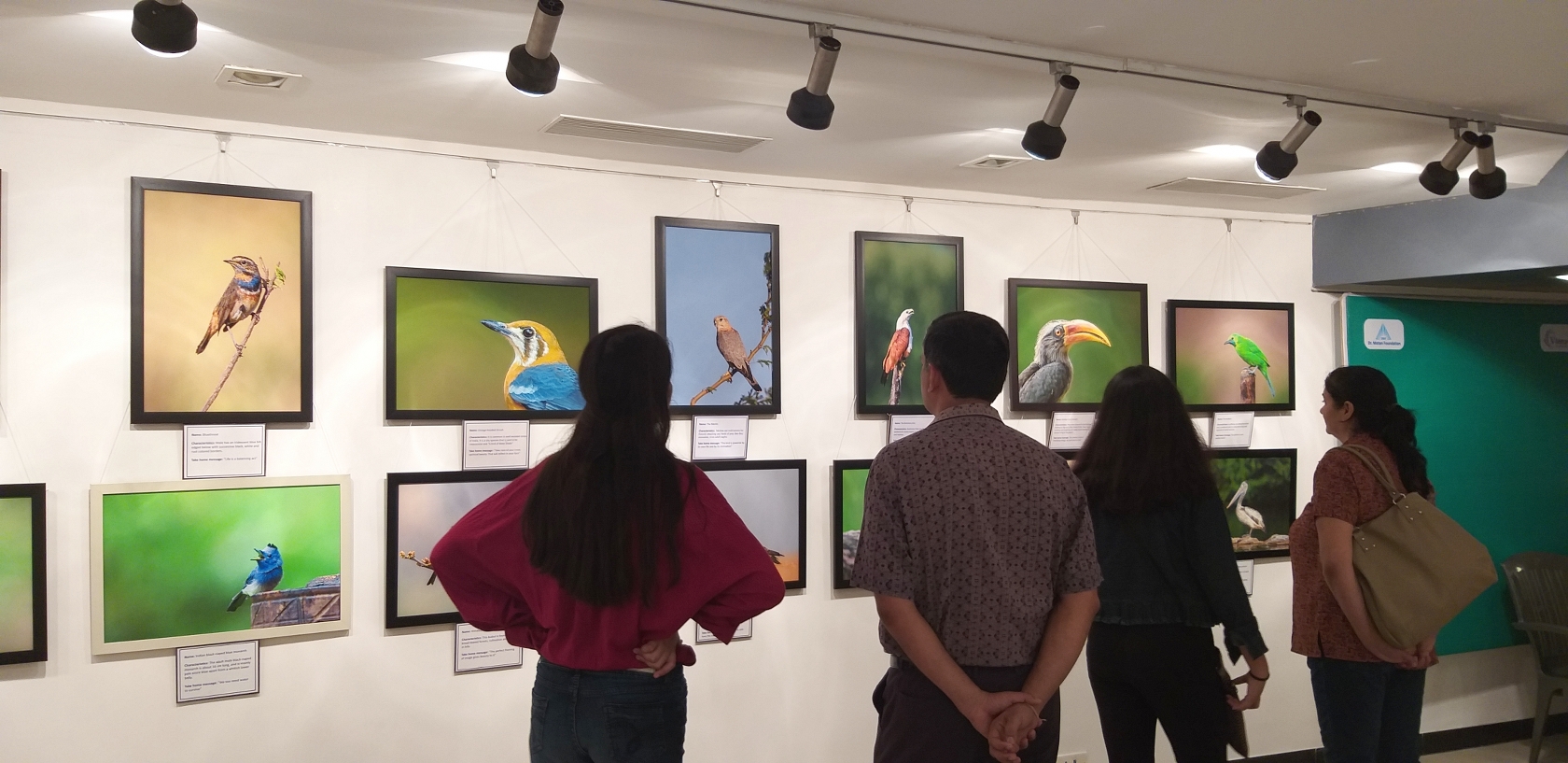 Exhibition at Jehangir Art Gallery Mumbai Dr Vyankatesh Metan M 1680x817