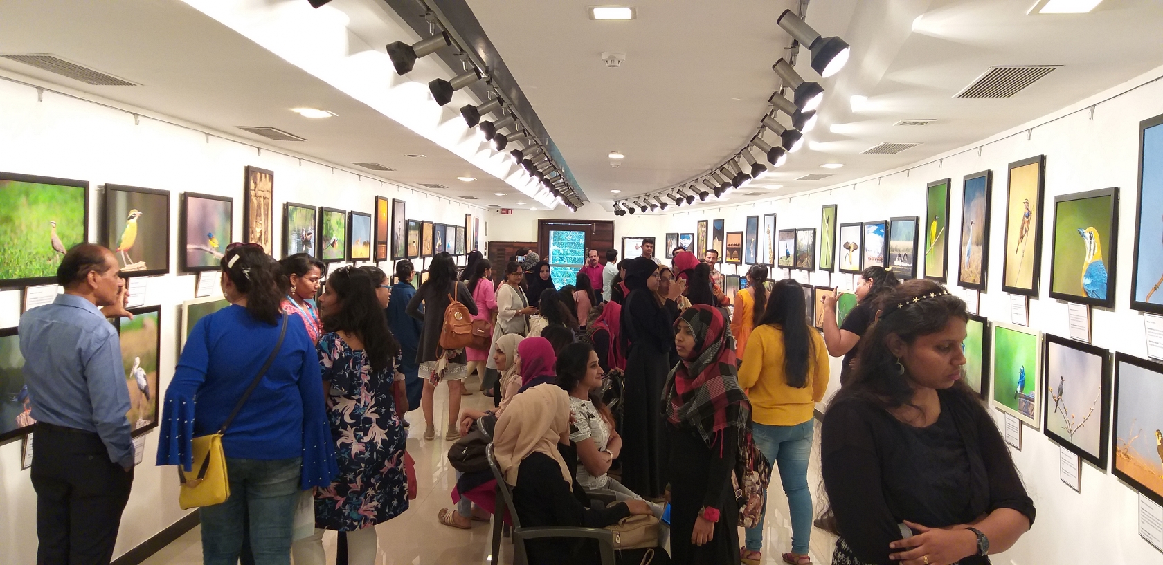 Exhibition at Jehangir Art Gallery Mumbai Dr Vyankatesh Metan O 1680x817