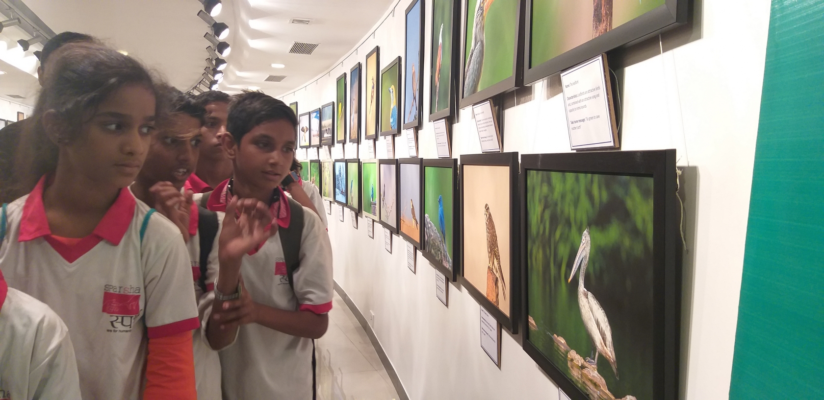 Exhibition at Jehangir Art Gallery Mumbai Dr Vyankatesh Metan V3 1680x817