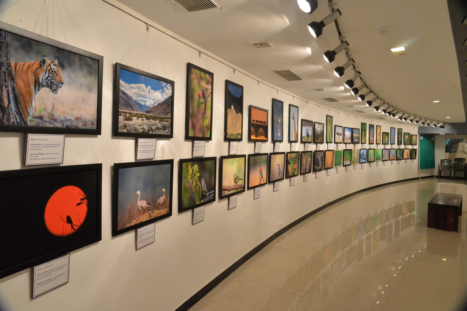 Exhibition at Jehangir Art Gallery Mumbai Dr Vyankatesh Metan Z9 1575x1050