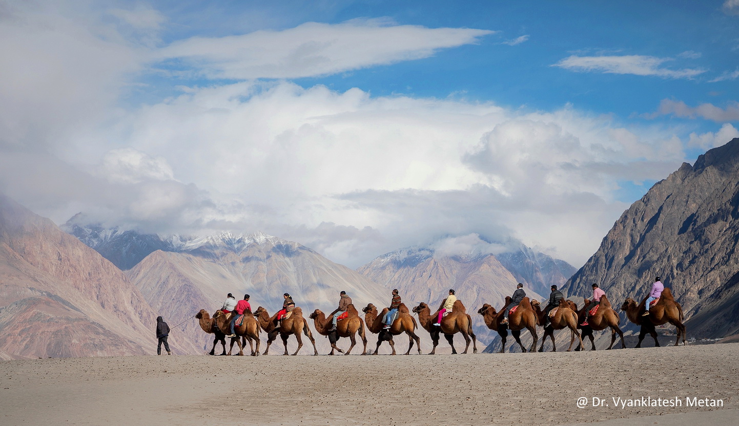 Nubra Valley Dr Vyankatesh Metan Solapur Lanscape Q