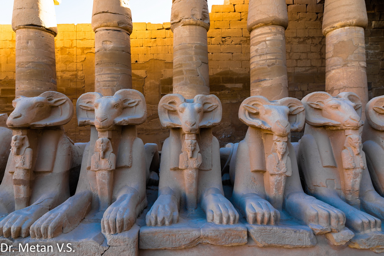 The Temple of Amun Ra Luxor Egypt image by Dr Vyankatesh Metan Solapur F