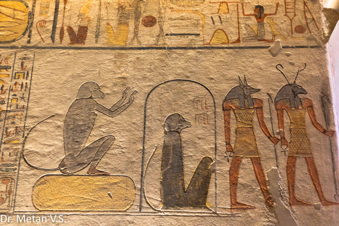 Valley of Kings Egypt Art and paintings image by Dr Vyankatesh Metan Solapur 3