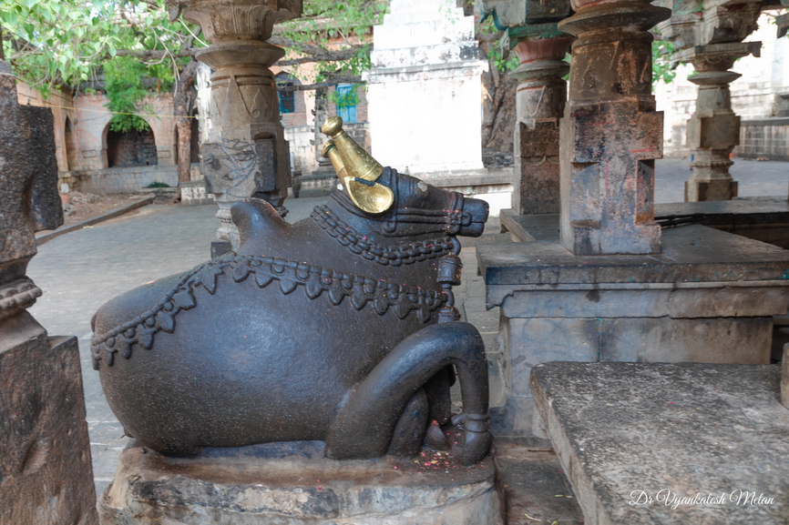 Nandi at Shri Siddheshwar temple Machnur
