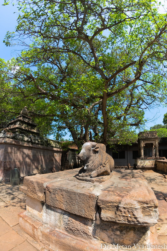 Nandi idol in front of Shri Sangmeshvara temple in Mahakuteshwara temples complex Mahakuta image by Dr Vyankatesh Metan from Solapur
