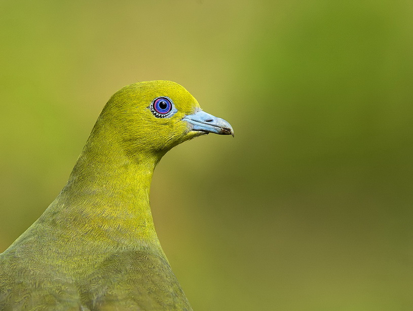 Featured photography 13