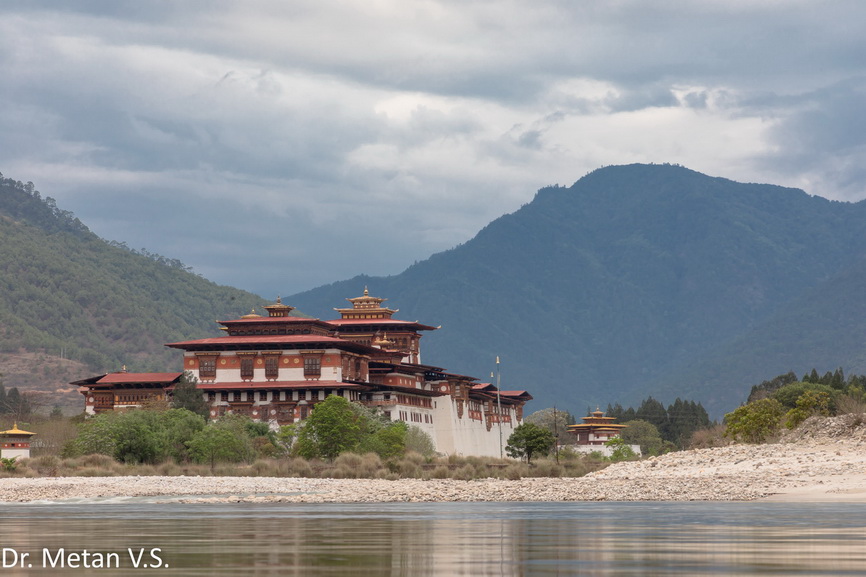 Featured photography 39