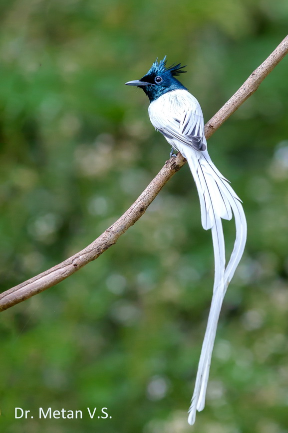 Featured photography 20