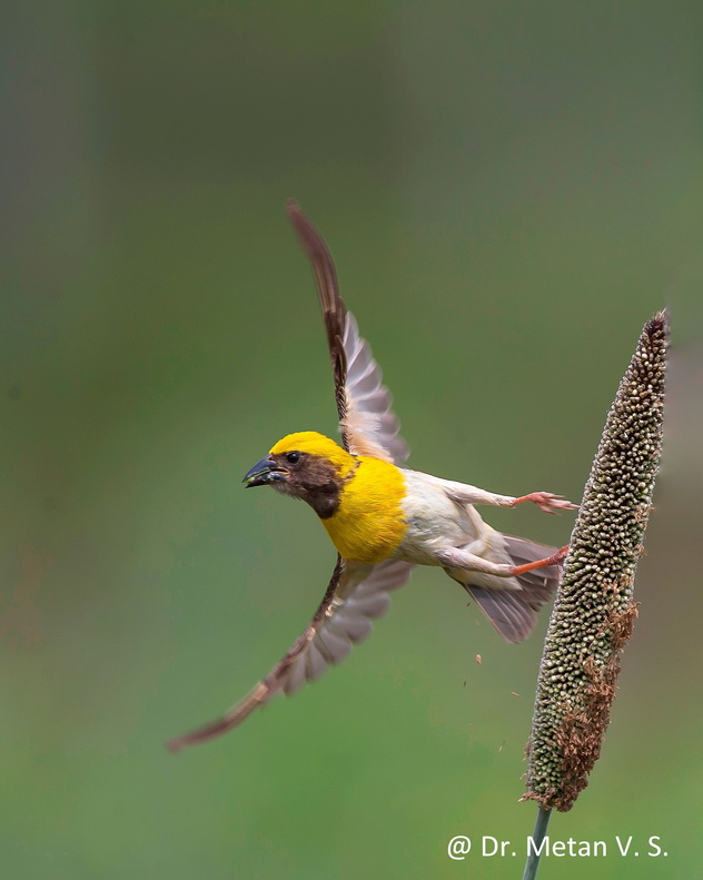 Featured photography 26