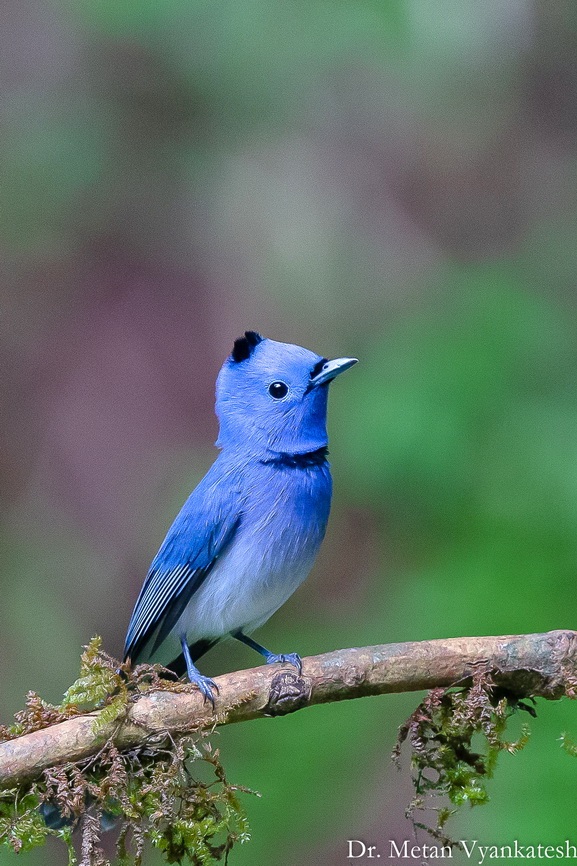 Featured photography 9