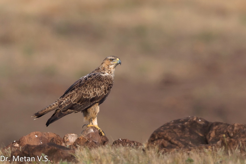 Featured photography 30