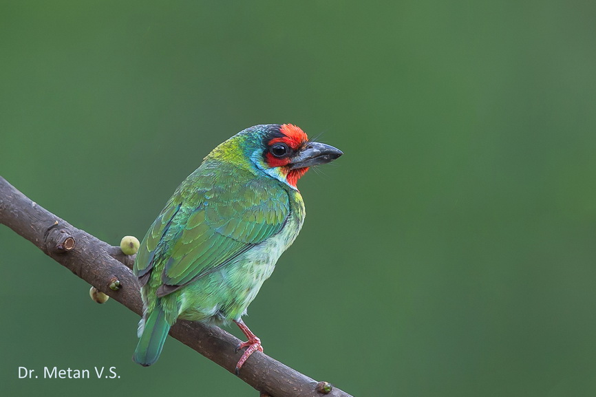 Featured photography 37