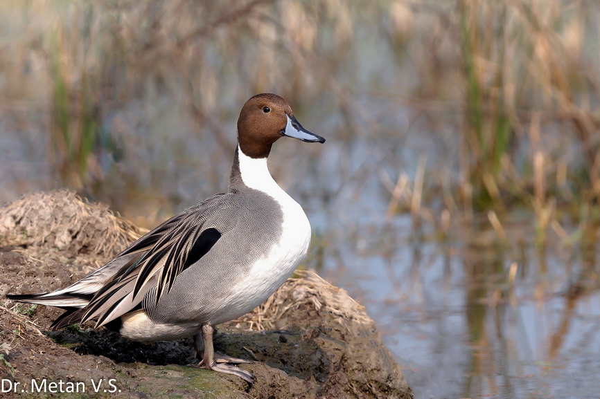 Featured photography 50