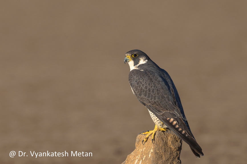 Featured photography 24