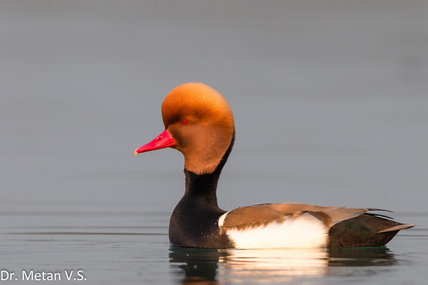 Featured photography 38