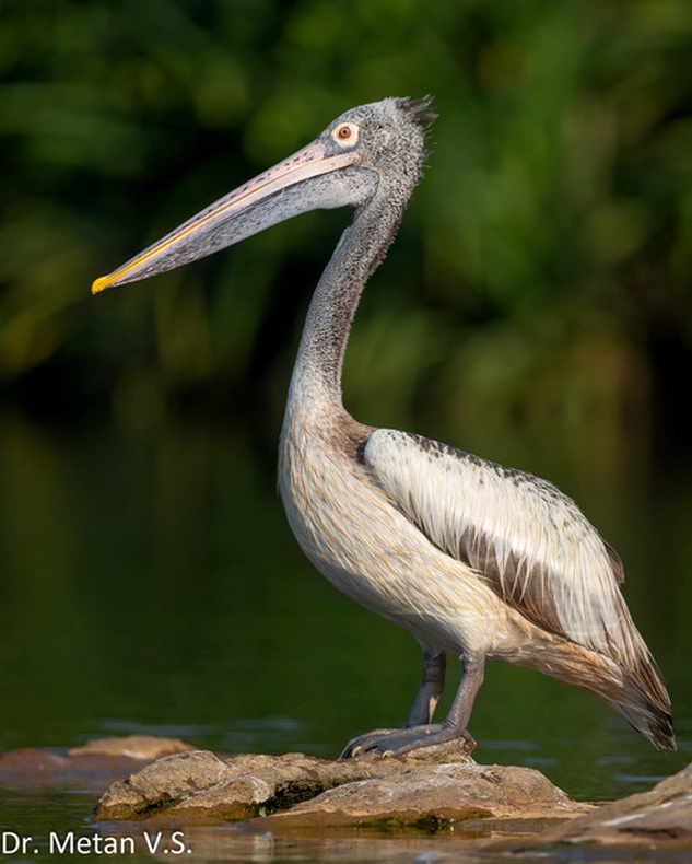 Featured photography 36