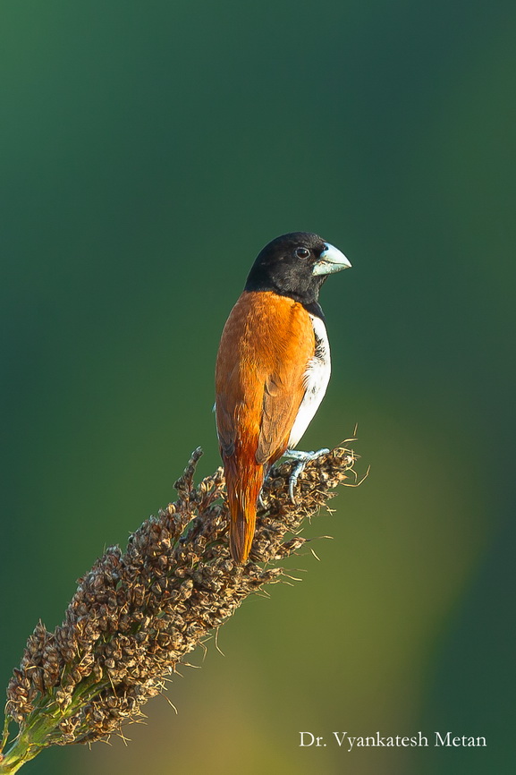 Featured photography 41