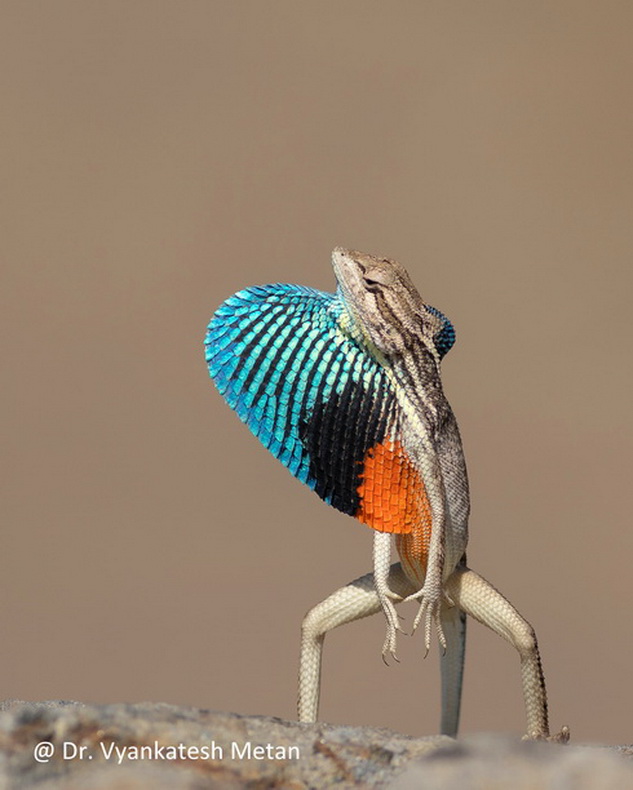 Featured photography 8